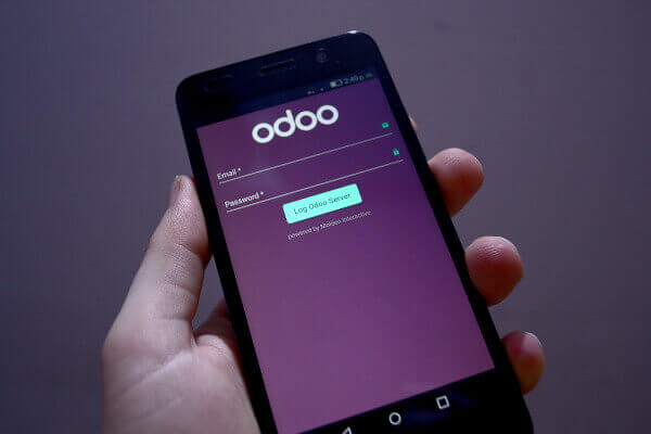 Moldeo Interactive Integración Odoo Móvil
