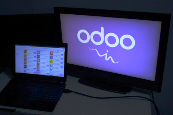 Moldeo Interactive - Mise en œuvre d'Odoo